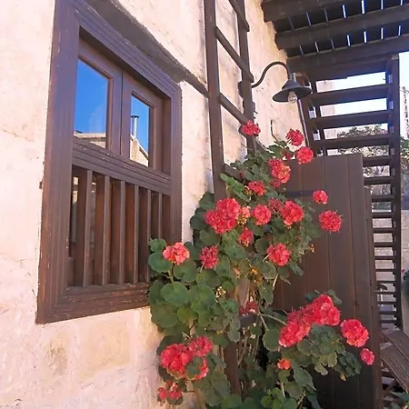 Leonidas Village * Goudhi