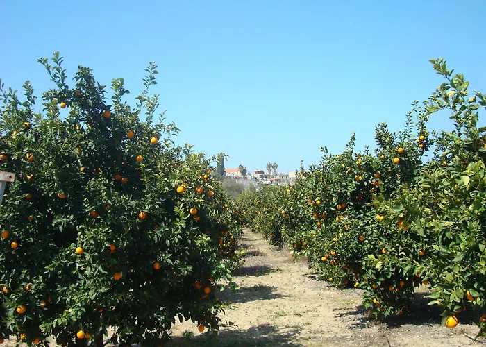 Kır Evi Leonidas Village Goudhi